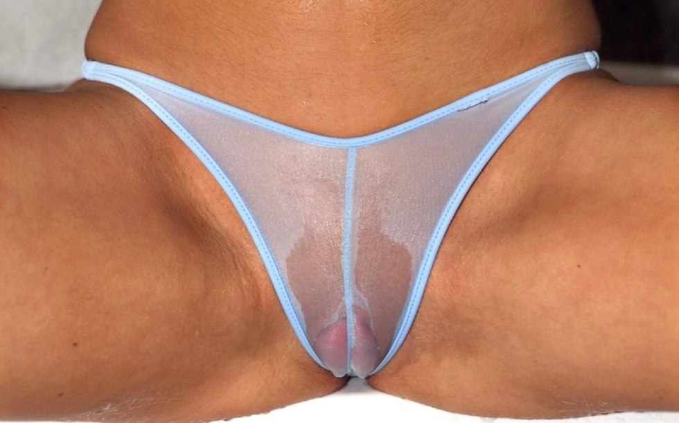 The vagina through panties