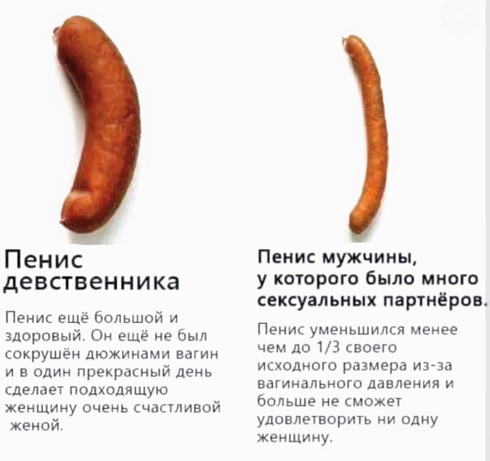 What is the other than than a Penis