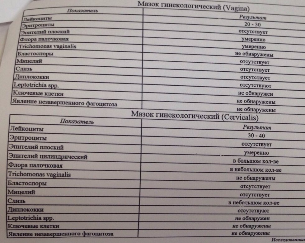 The Power of the Pussy Book in Russian