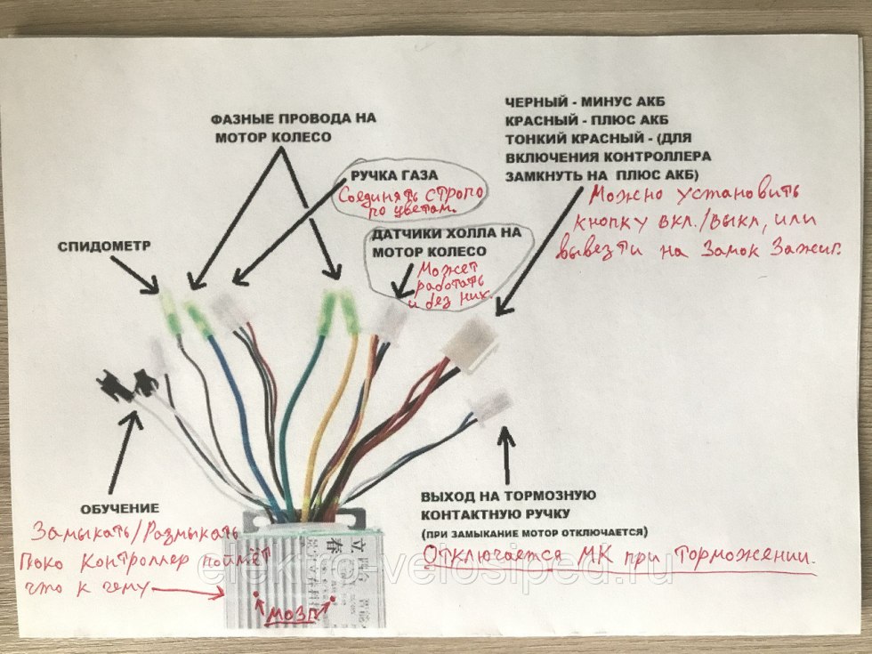 Doom Slayer and Hayden