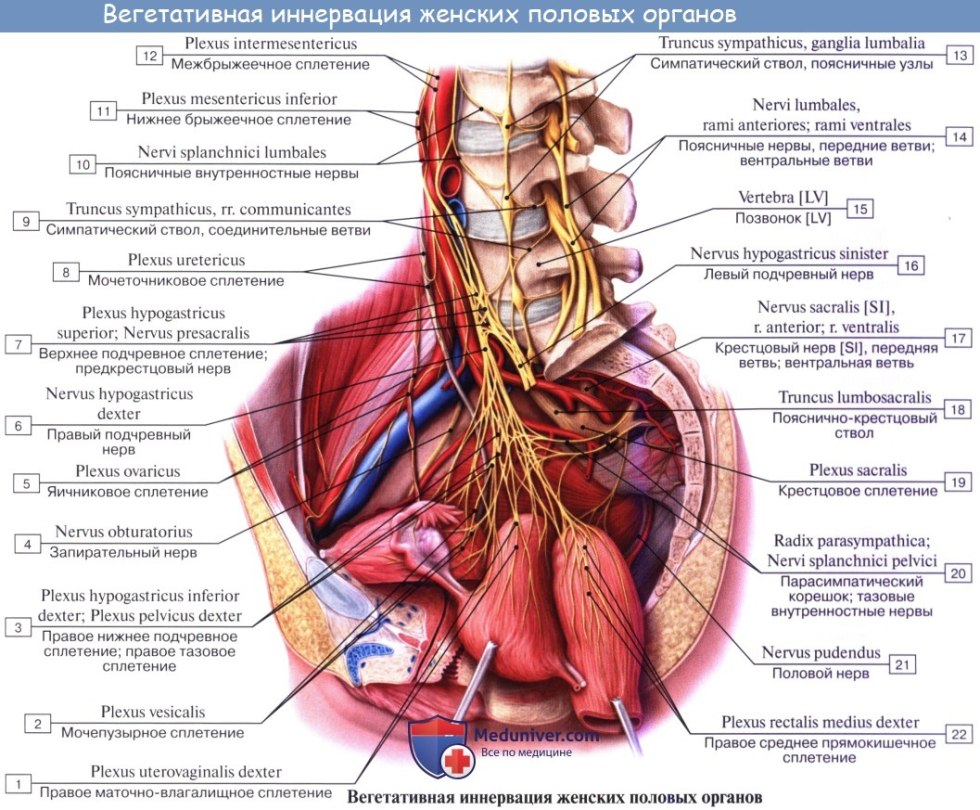Write Sentences Using Therese Words English language 6th grade