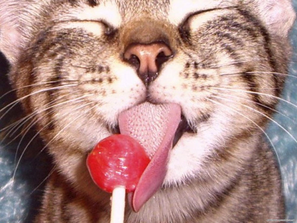 Wallpaper in the style of Chupa Chups