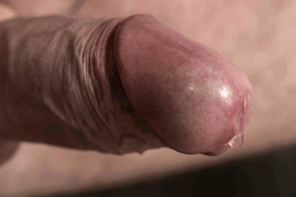 Huge cock close -up
