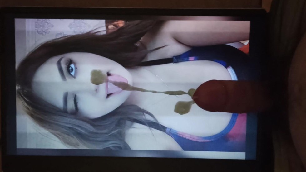 Safety belt and chest