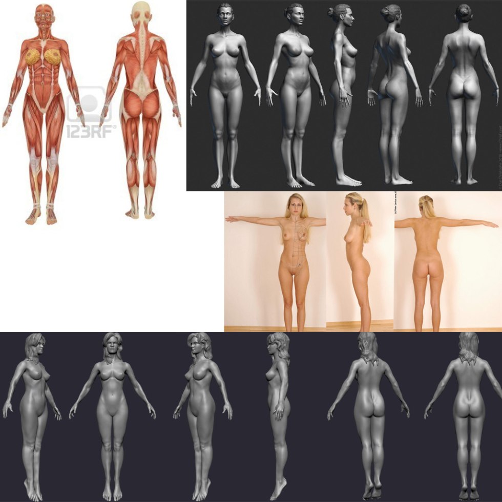Female body from all sides
