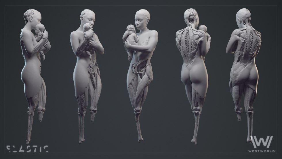 Anatomy of a woman for a sculptor