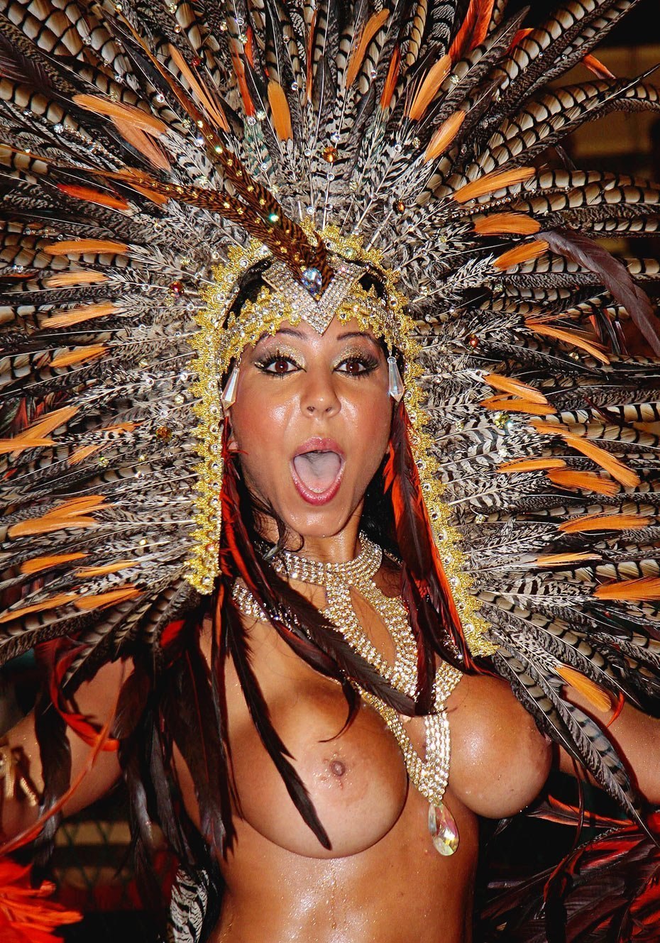Erotic carnival of Rio (Rio Carnival)