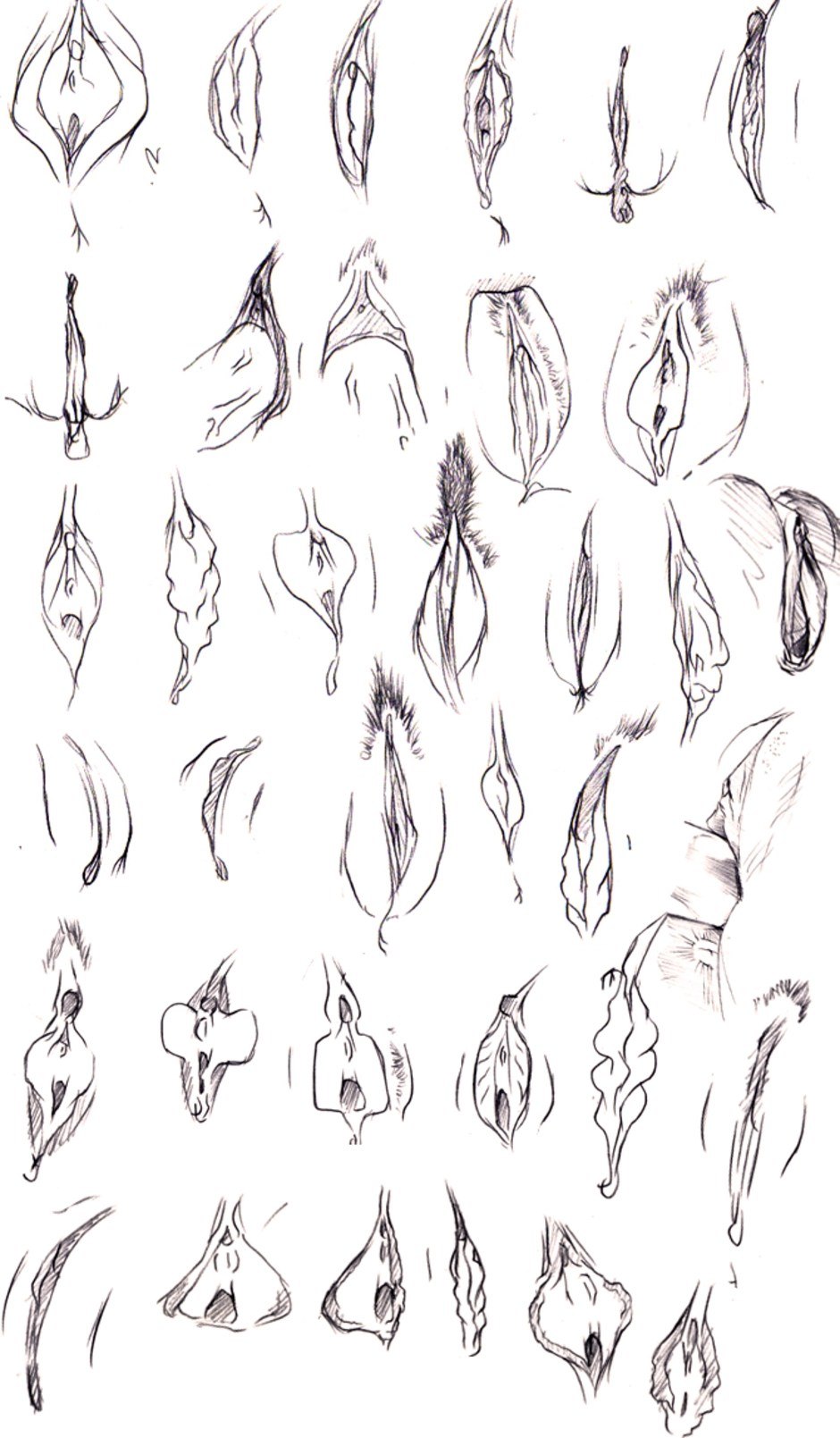 Tutor for drawing vagina