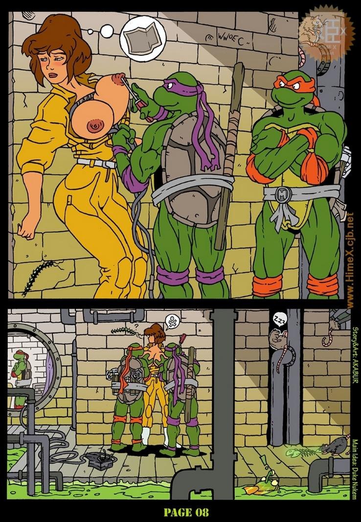 Akabur ninja turtles