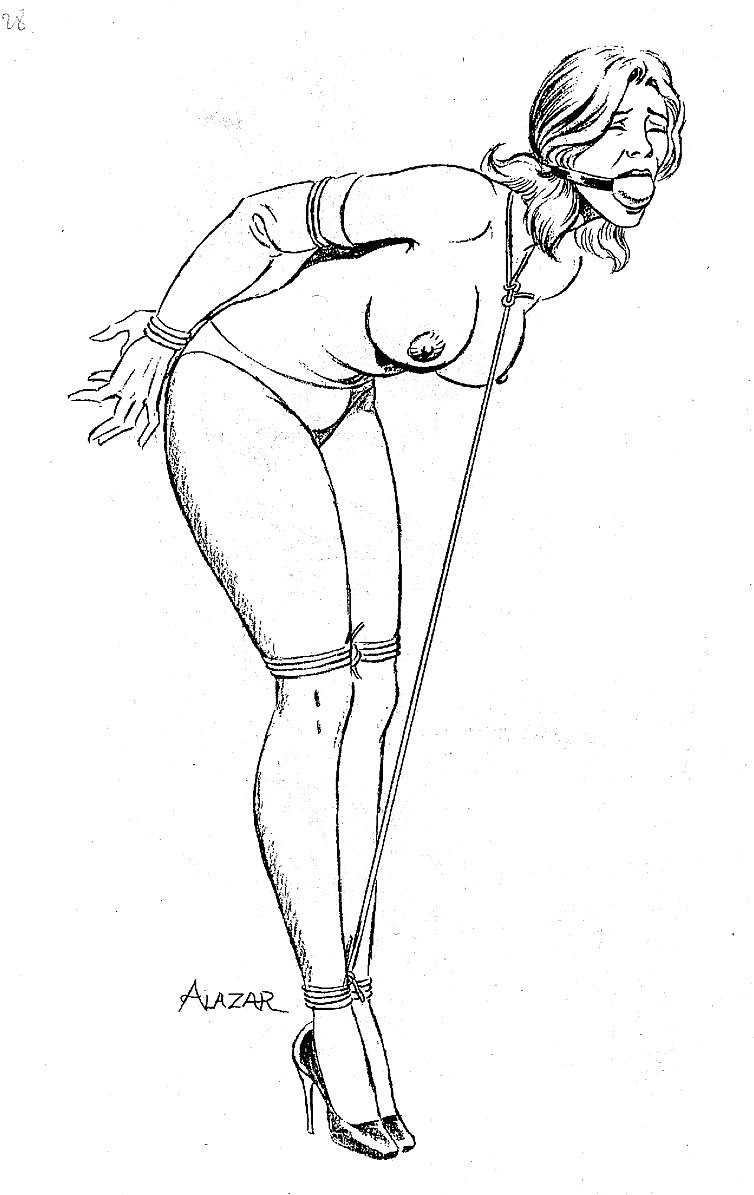 BDSM graphic drawings