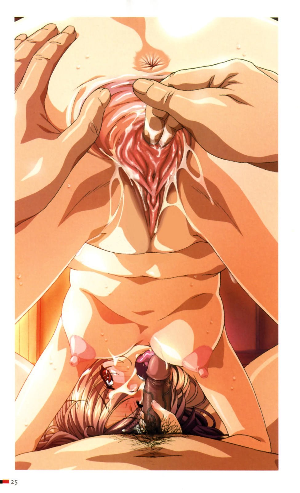 Hentai from the clitoris to a member