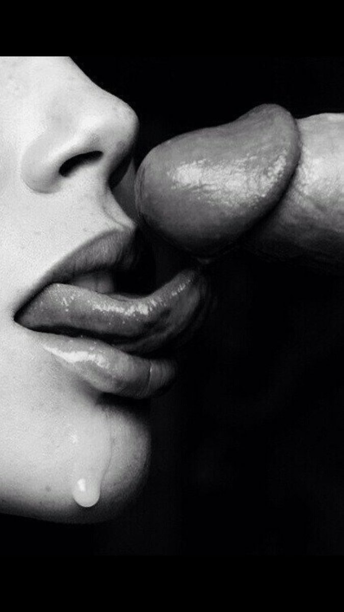 Erotic kiss of a member