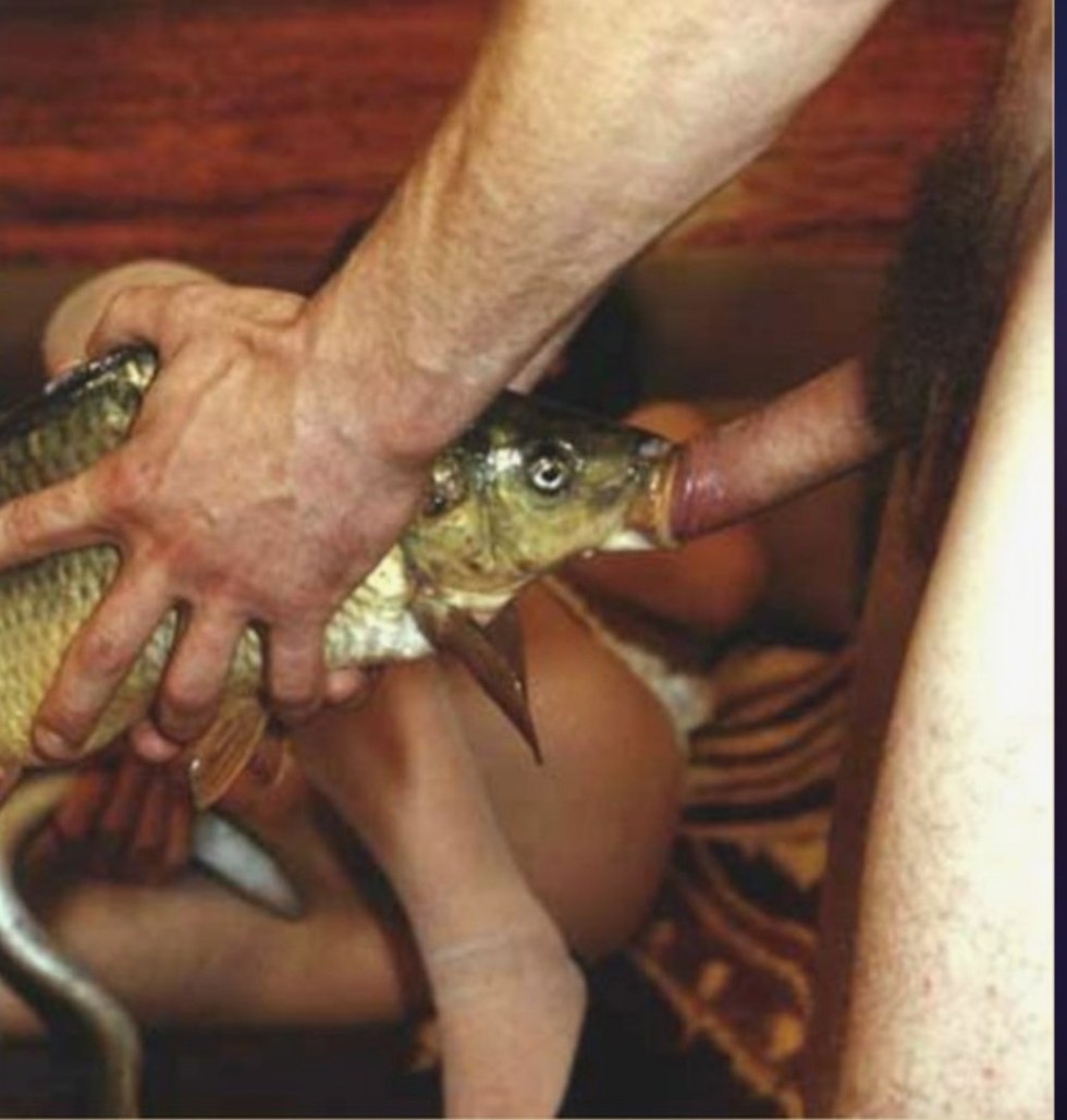 Put a member of the fish in the mouth