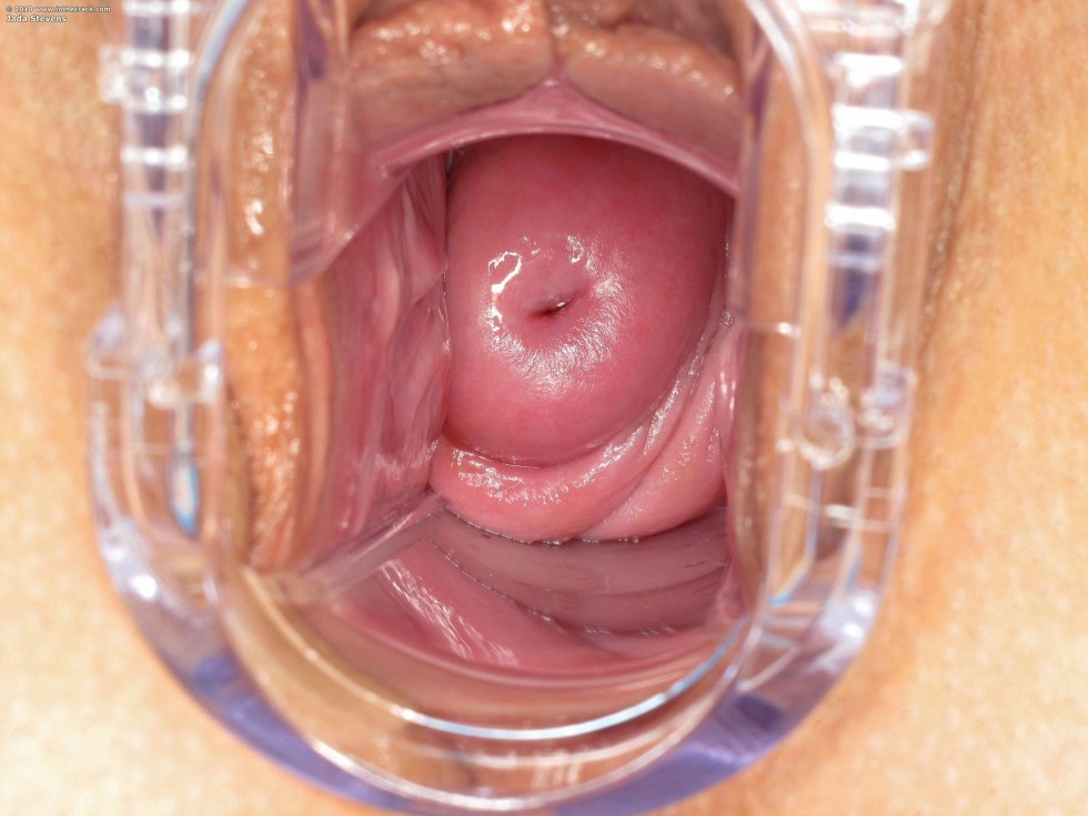 Women's vagina from the inside