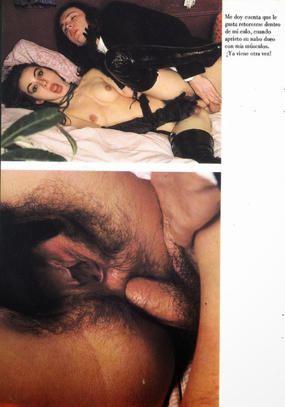 Catherine Denee pornography