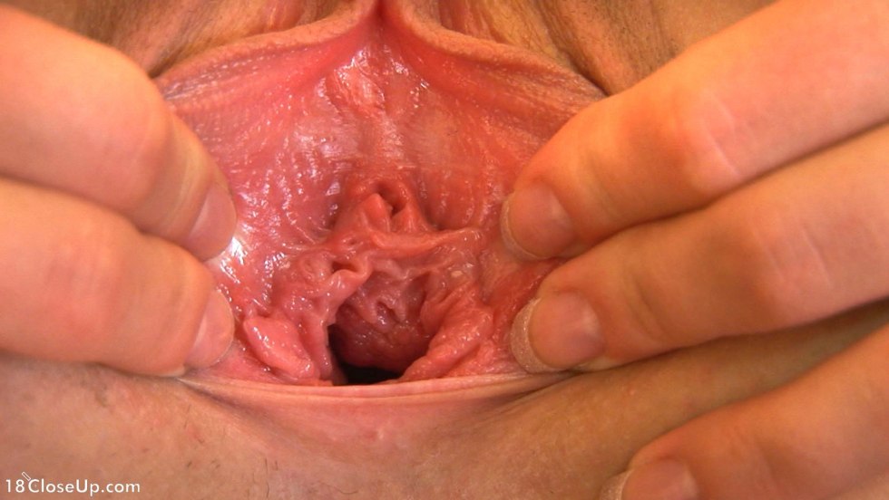 The insides of the vagina