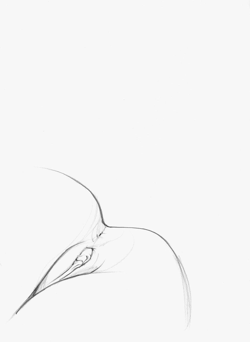 Vagina minimalism drawing