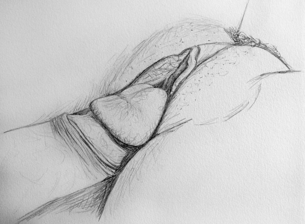 Pussy drawing with a pencil