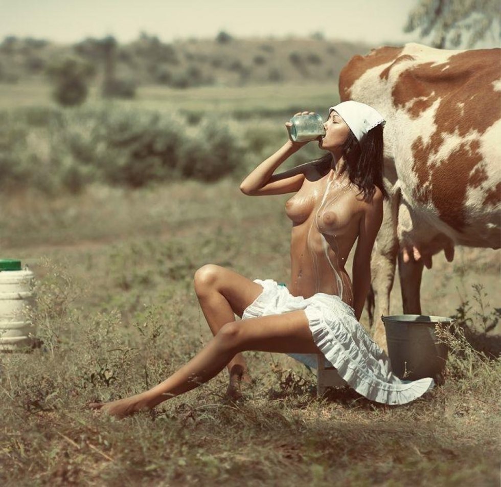 Photo shoot with a cow naked