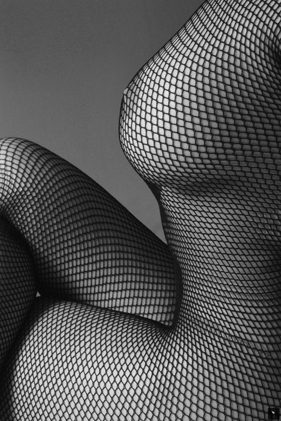 Erotic girls in a grid