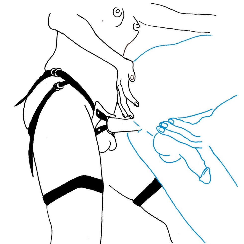 In the ass is strap -on drawing