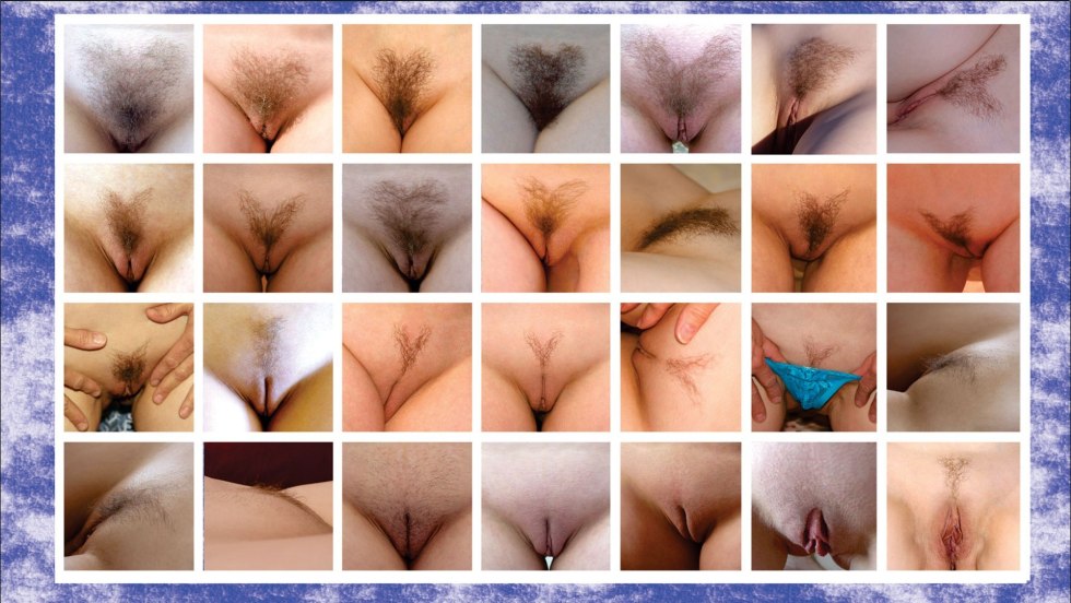 Erotic hairstyles on the pubis