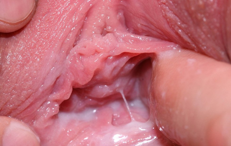Inside the vagina close -up