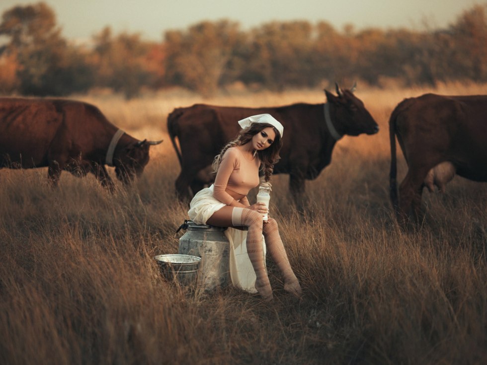 Naked milkmaid finishes a cow
