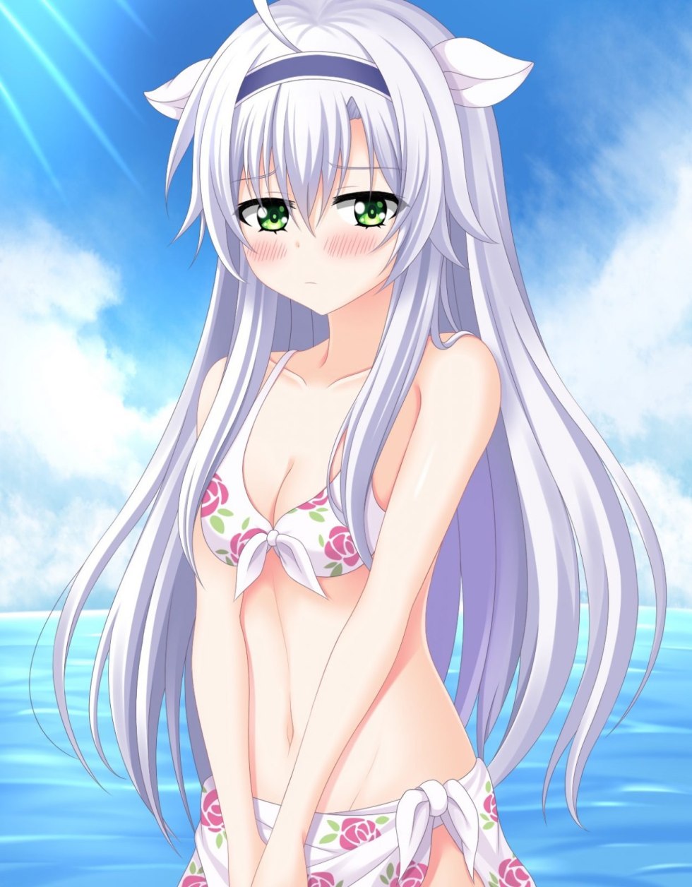 Chronicles Akashi Sistine