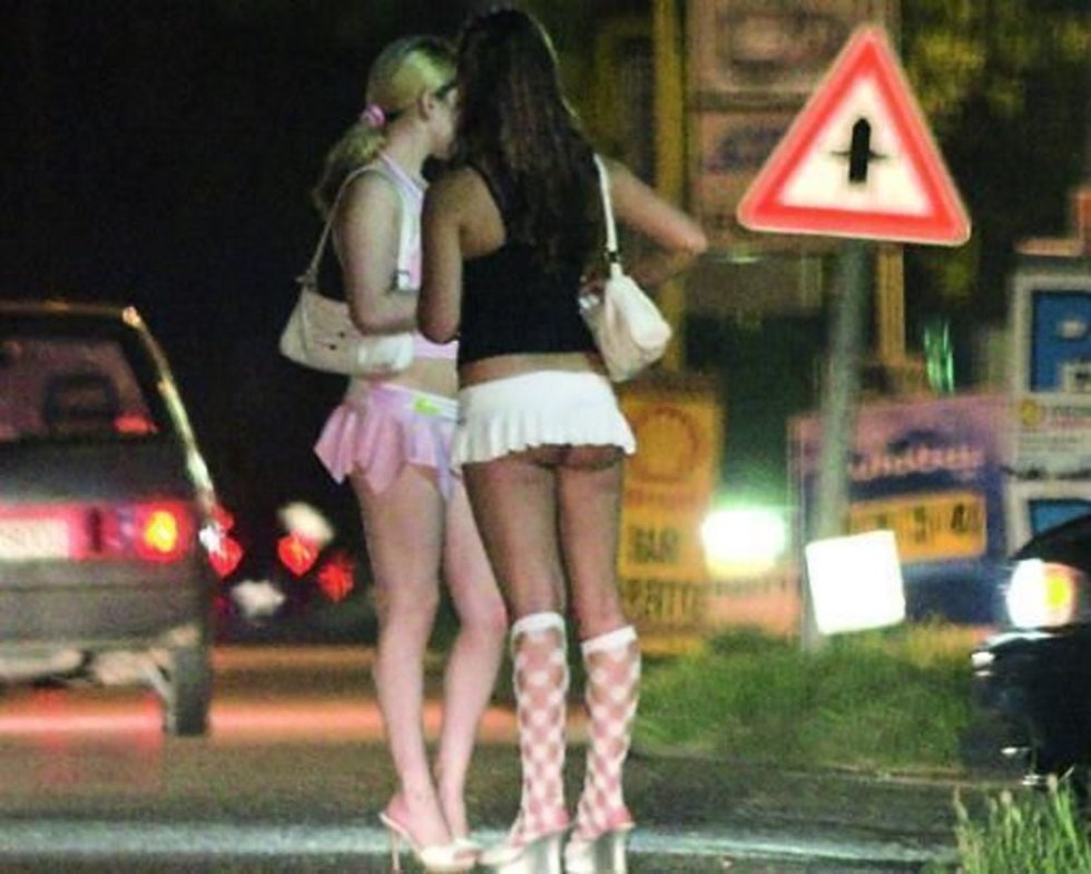 Night butterflies on the highway