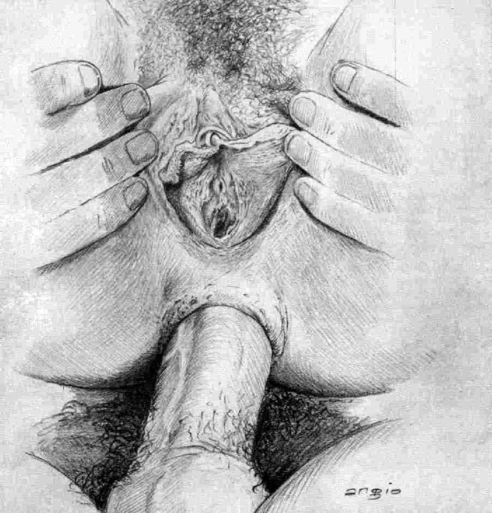 Drawing female genitals
