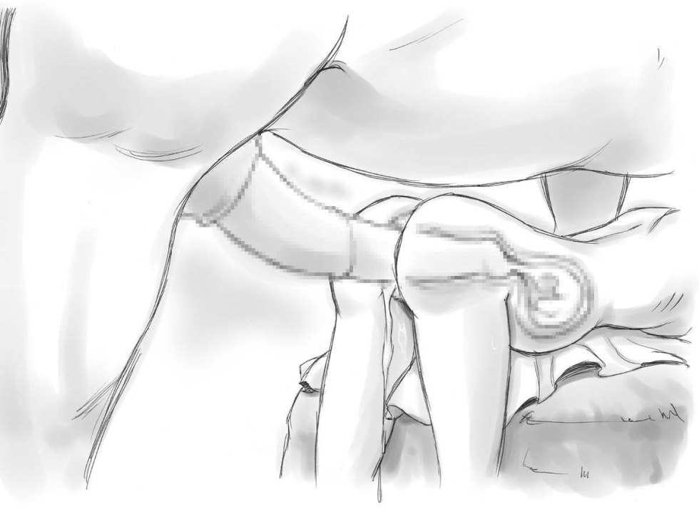 The penetration scheme of the penis into the anus