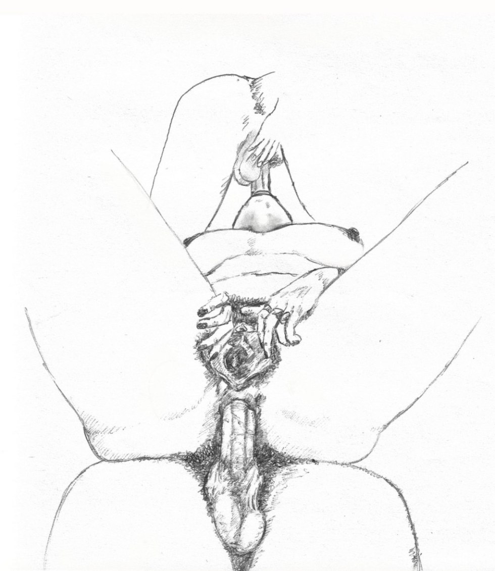 Member in the vagina drawing
