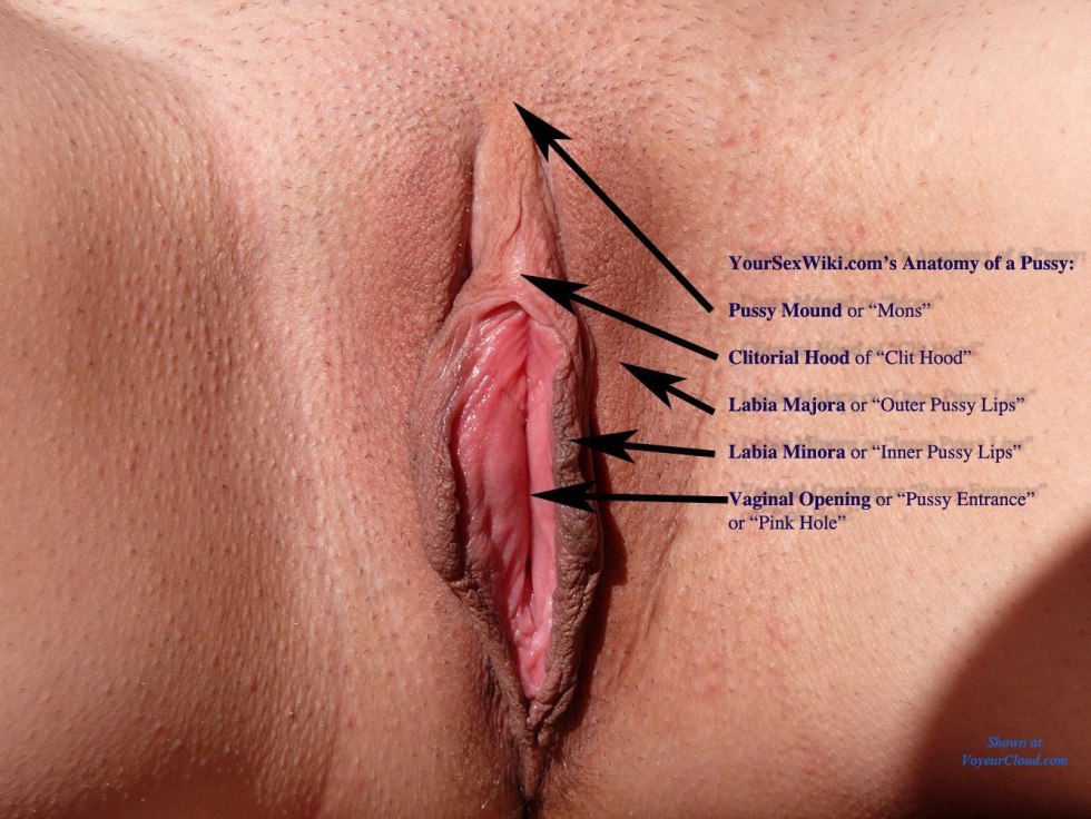Women's vagina photo with description