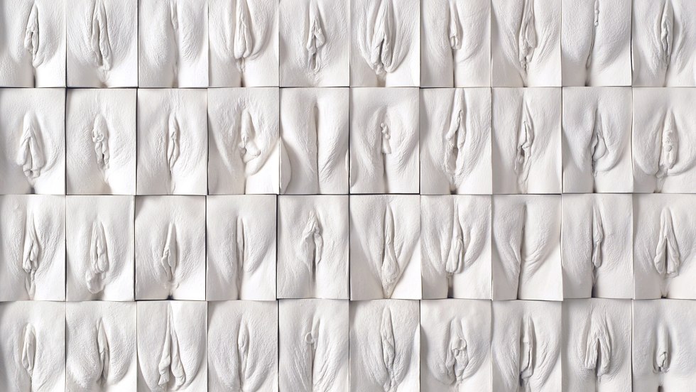 Vagin wall Jamie McCartney