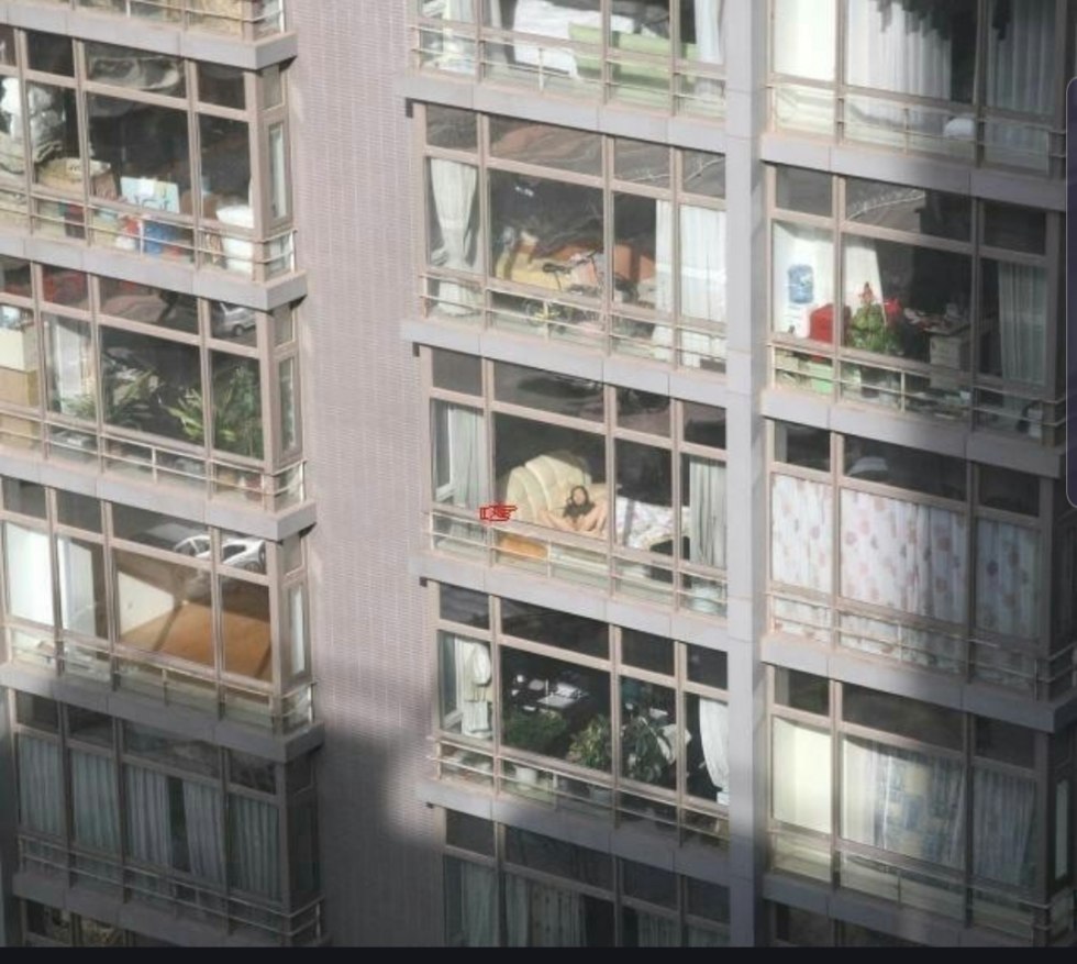 Tits in the window of high -rise buildings