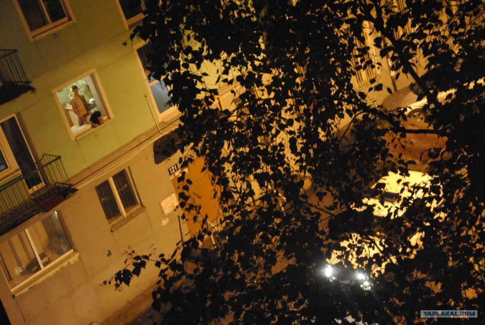 Night from the window of the house