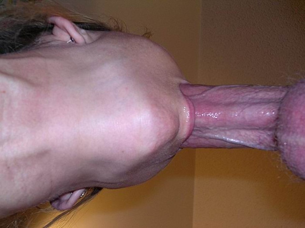 Sucks a member of the view from below