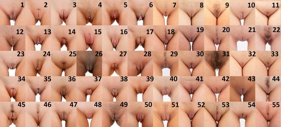 Women's vagina at different ages