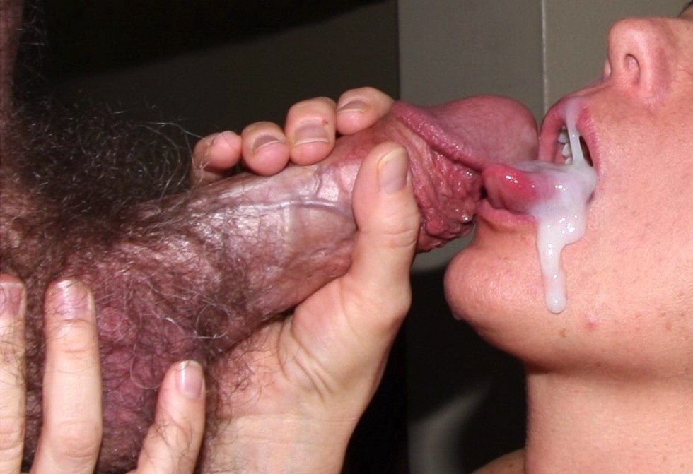 Old cock Close -up ends