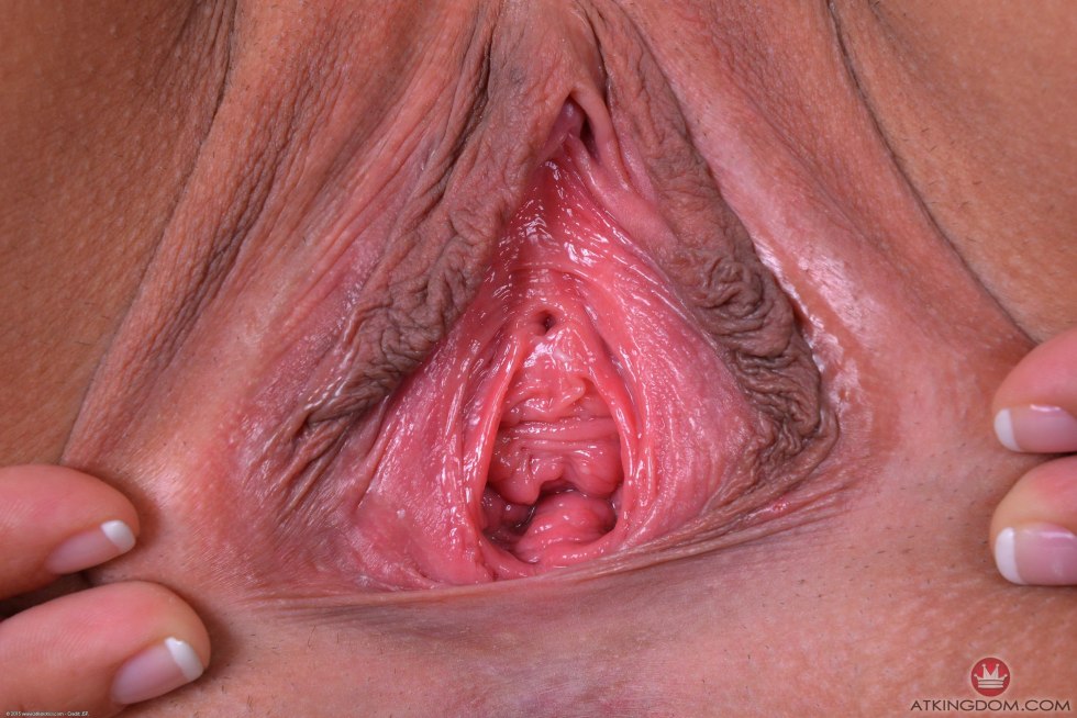 Huge vaginas close -up