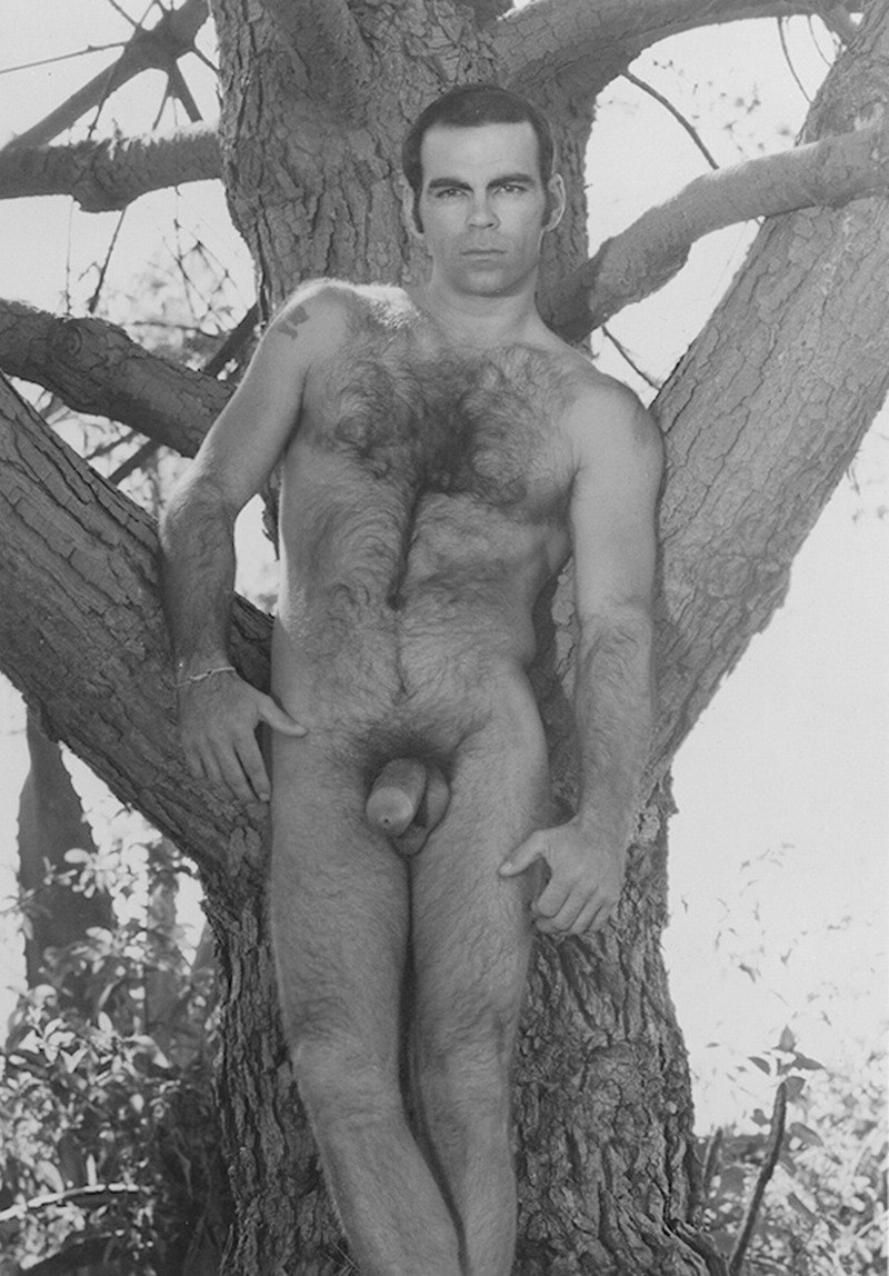 Naked guys retro hairy