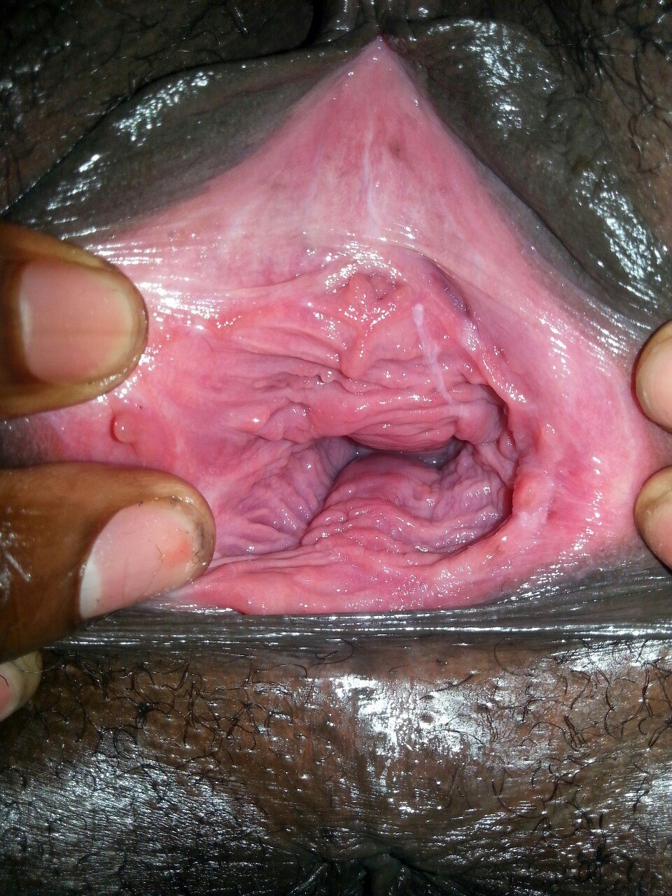 Women's vagina inside