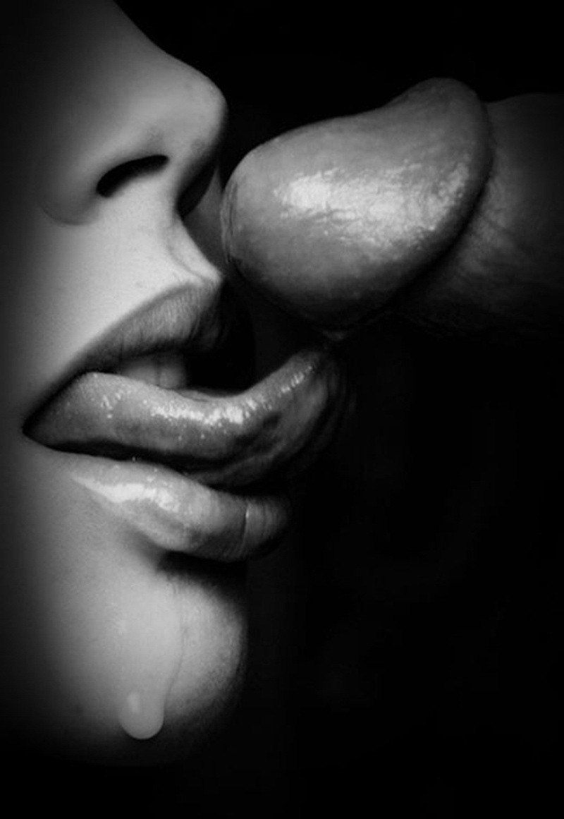 Oral caresses black white