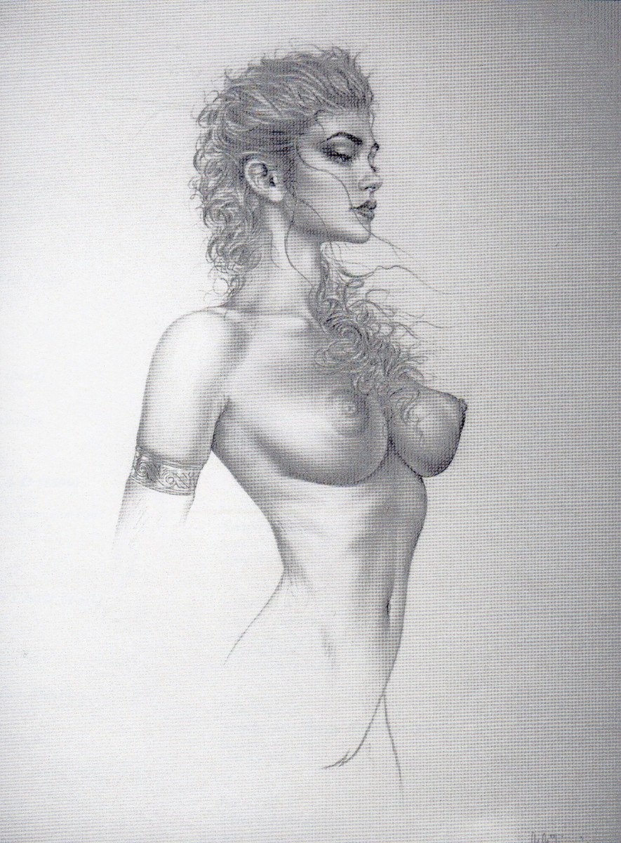 Beautiful erotic drawings