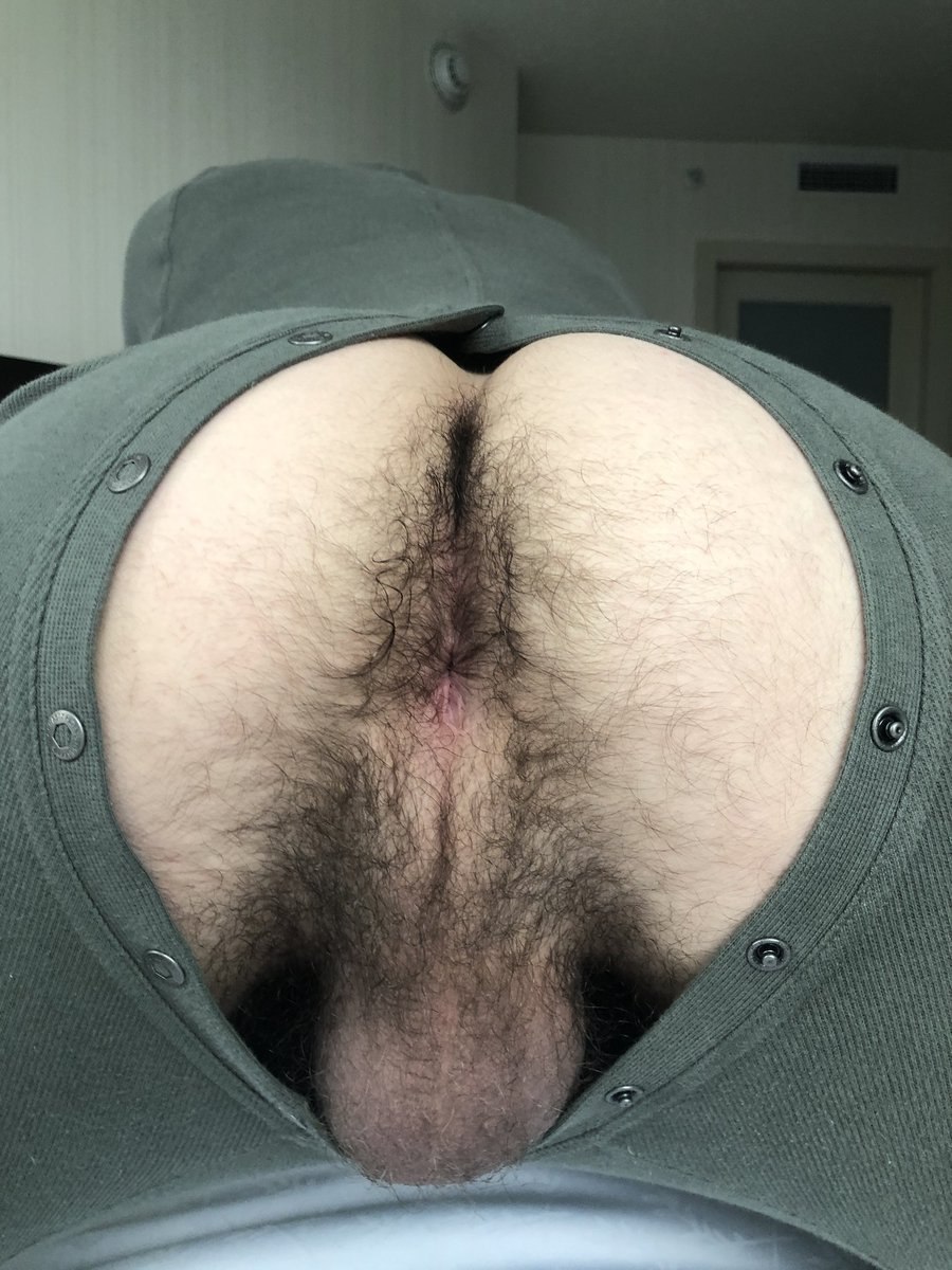 Men's hairy anus large