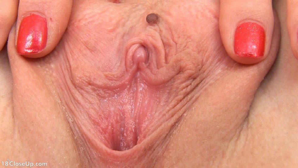 A small hood of the clitoris