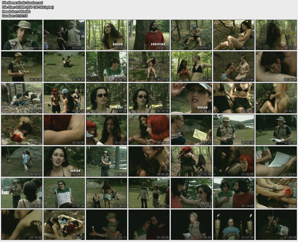 Last hero erotic scenes