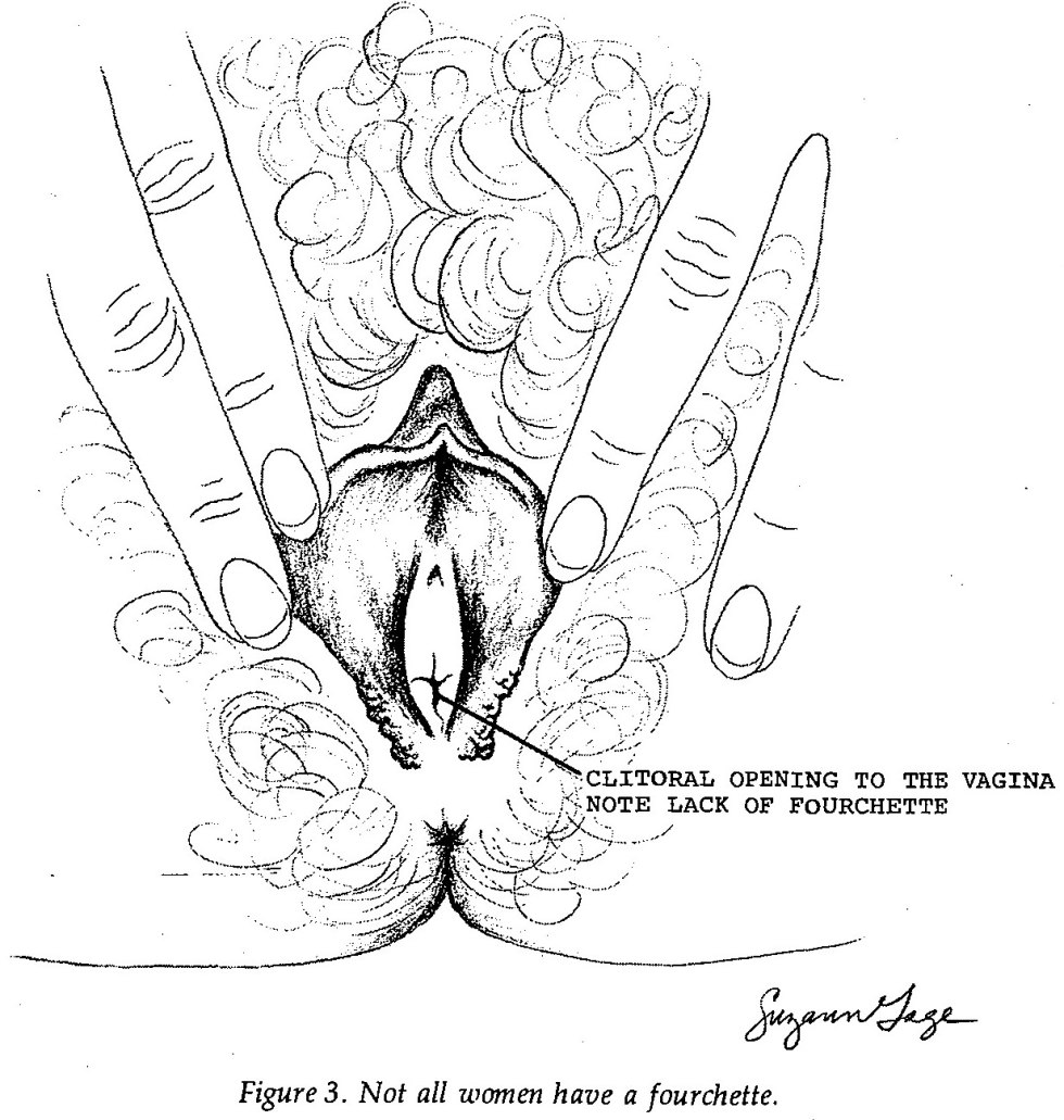 High location of the clitoris