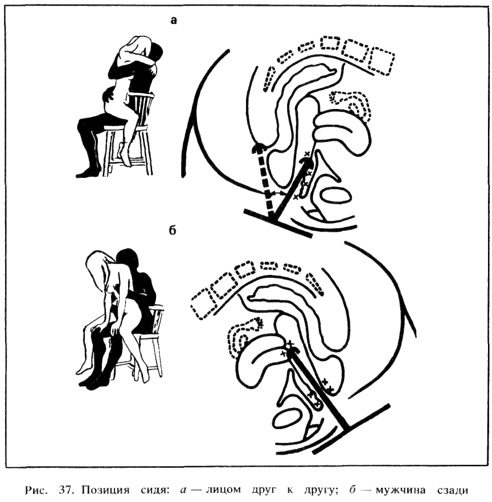 Sexual intercourse scheme from the inside